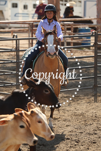 IMG_7868
