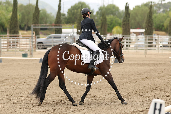 AVMP1447