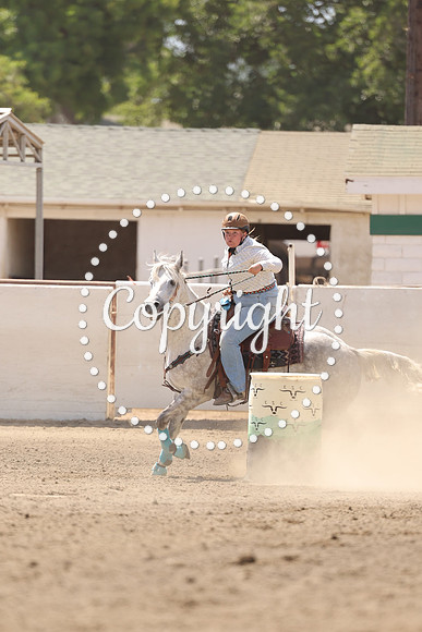 AVMM0069