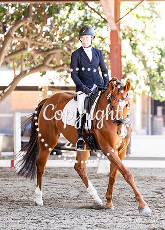 AVMP0300