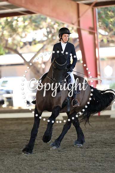 AVMP4045