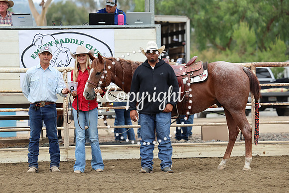 AVMM0998