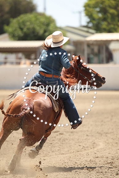 IMG_6378