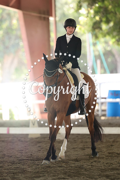 AVMP6817