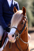 AVMP1427