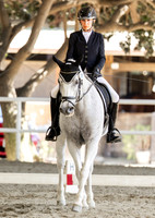 AVMP0686