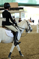 AVMM7517