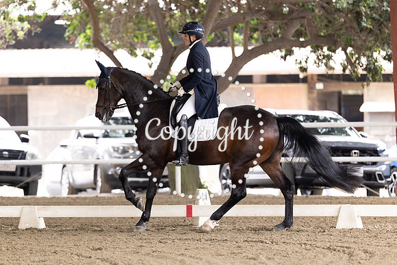 AVMP1966