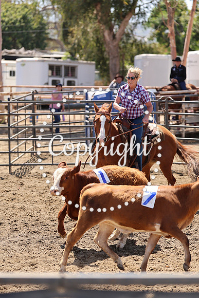 AVMM7100