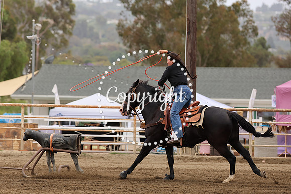 AVMM0997