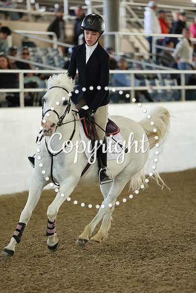 AVMM2655