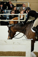AVMM2009