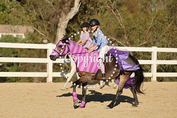 AVMM3944