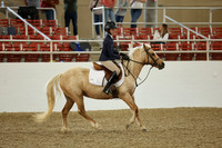 AVMM9220