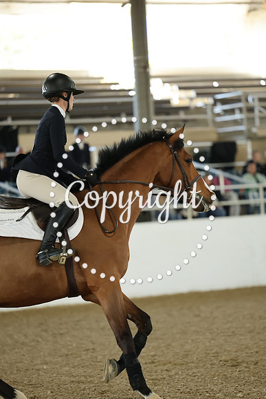 AVMM0967