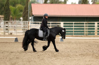 AVMP1672