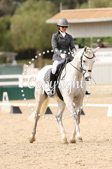 AVMP9278