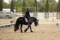 AVMP1658