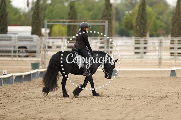 AVMP1658