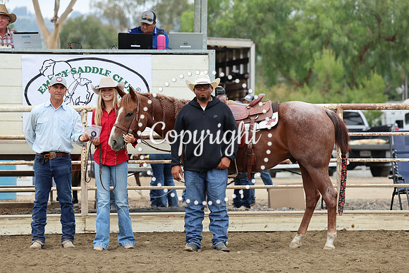 AVMM0994