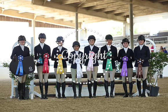 AVMM3916