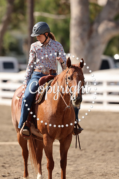 AVMM4619