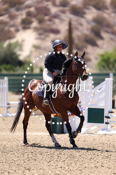 AVMP6464