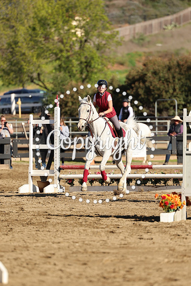 AVMM0940