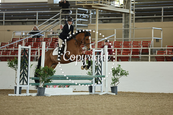 AVMM0977