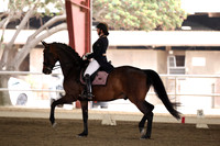 AVMP0339