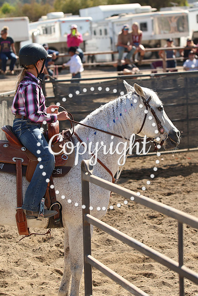 IMG_7894