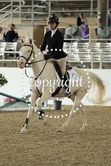 AVMM7541