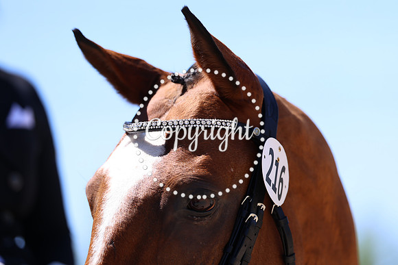 AVMP5433