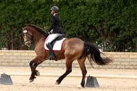 AVMP2975