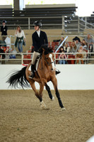 AVMM0981