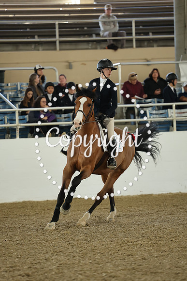 AVMM0961
