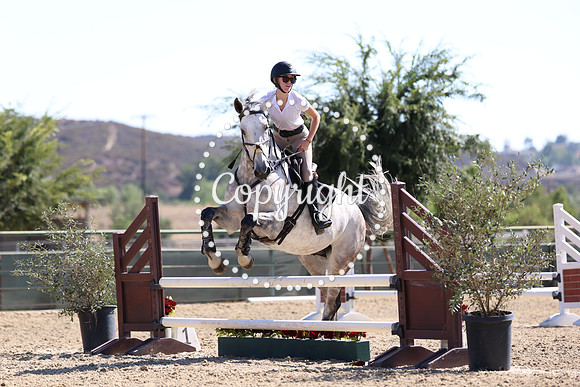 AVMP8659