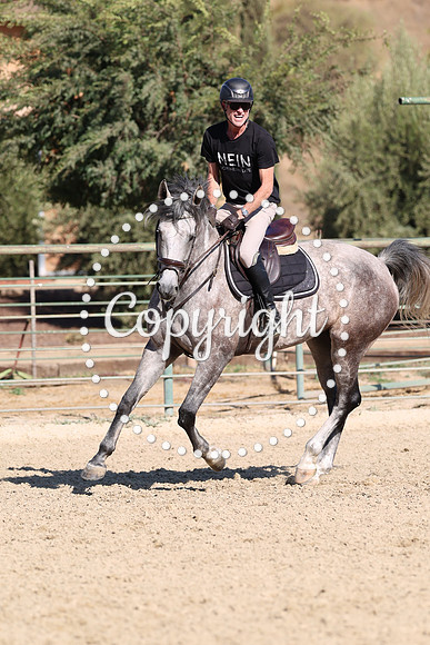 AVMP9207