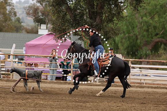 AVMM0989