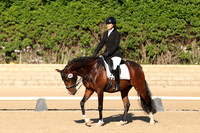 AVMP7265