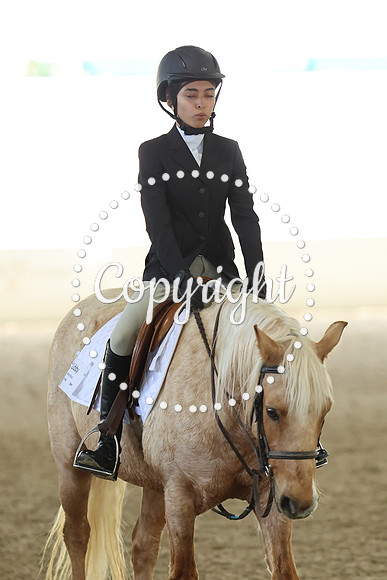 AVMM6237