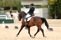 AVMP1438