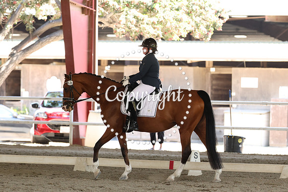 AVMP0371