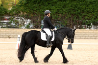 AVMP2684