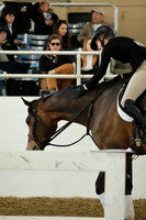 AVMM2010