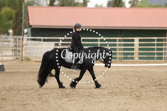 AVMP1676
