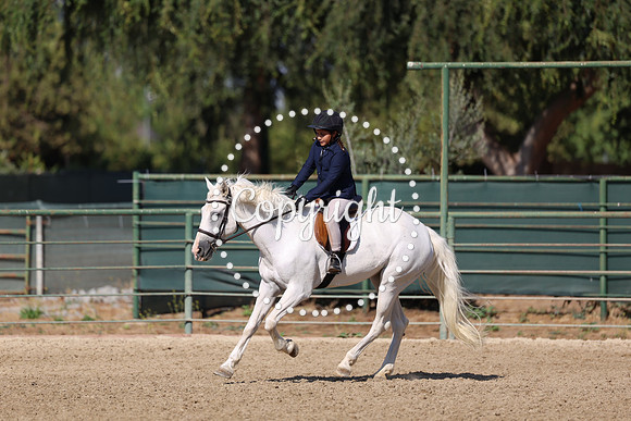 AVMP1232